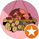 Coumba S. profile picture